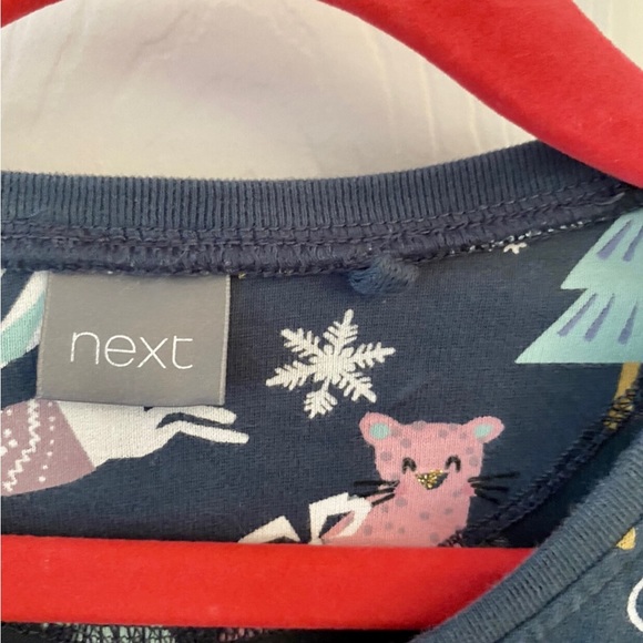 NEXT Winter Holiday Christmas Dress - Picture 4 of 6